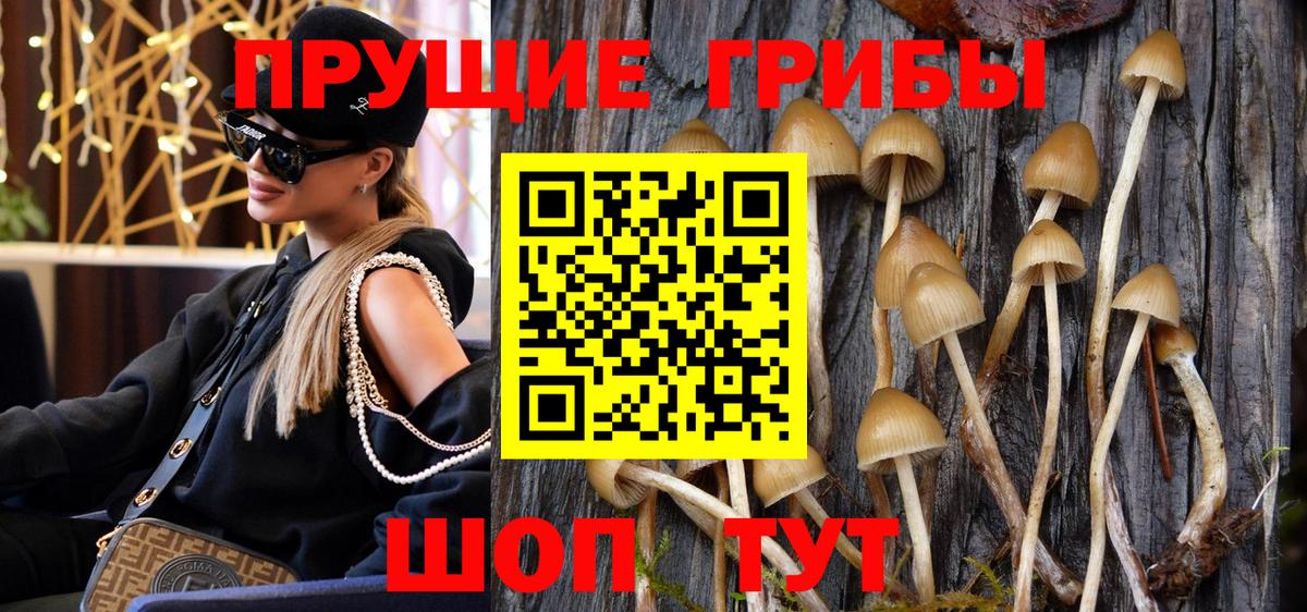Псилоцибиновые грибы GOLDEN TEACHER  Вход с VPN  Шумерля 