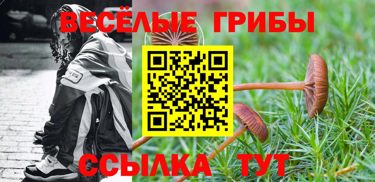 Галлюциногенные грибы GOLDEN TEACHER Шумерля